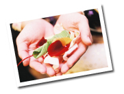 �i����ɂ���