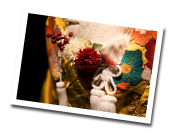 �i����ɂ���